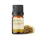 Imagem do Óleo Essencial Funcho Doce puro -5 ML