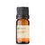 Óleo Essencial Grapefruit - puro 10 ML - comprar online