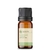 Óleo Essencial Hortelã Verde - puro 10 ML - comprar online