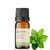 Imagem do Óleo Essencial Hortelã Verde - puro 10 ML