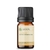 Óleo Essencial Jasmim Diluído 10% - 5ML - comprar online