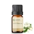 Imagem do Óleo Essencial Jasmim Diluído 10% - 5ML