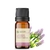 Imagem do Óleo Essencial Lavanda Bulgária - puro 10 ML