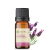 Imagem do Óleo Essencial Lavanda Francesa - puro 10 ML