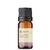 Óleo Essencial Lavandin ( Grosso) - puro 10 ML - comprar online