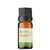 Óleo Essencial Manjericão - puro 10 ML - comprar online