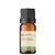 Óleo Essencial Melaleuca - puro 10 ML - comprar online