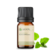 Imagem do Óleo Essencial Melissa puro - 5 ML