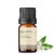 Imagem do Óleo Essencial Neroli Diluido 10% - 5 ML
