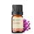 Imagem do Óleo Essencial Pau Rosa puro - 5 ML