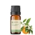 Imagem do Óleo Essencial Petitgrain - puro 10 ML