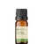 Óleo Essencial Alecrim QT Cineol puro - 10 ml - comprar online