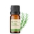Imagem do Óleo Essencial Alecrim QT Cineol puro - 10 ml
