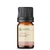 Óleo Essencial Sálvia Esclareia puro - 5 ML - comprar online