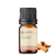 Imagem do Óleo Essencial Sândalo (Mysore) puro - 5 ML