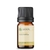 Óleo Essencial Vanilla Diluido a 10% - 5 ML - comprar online