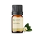 Imagem do Óleo Essencial Vanilla Diluido a 10% - 5 ML