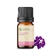 Imagem do Óleo Essencial Verbena puro - 5 ML