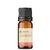 Óleo Essencial Wintergreen - puro 10 ML - comprar online