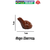 Animal Sapo em geral diversas cores de Blocos de Montar - hqsetoys