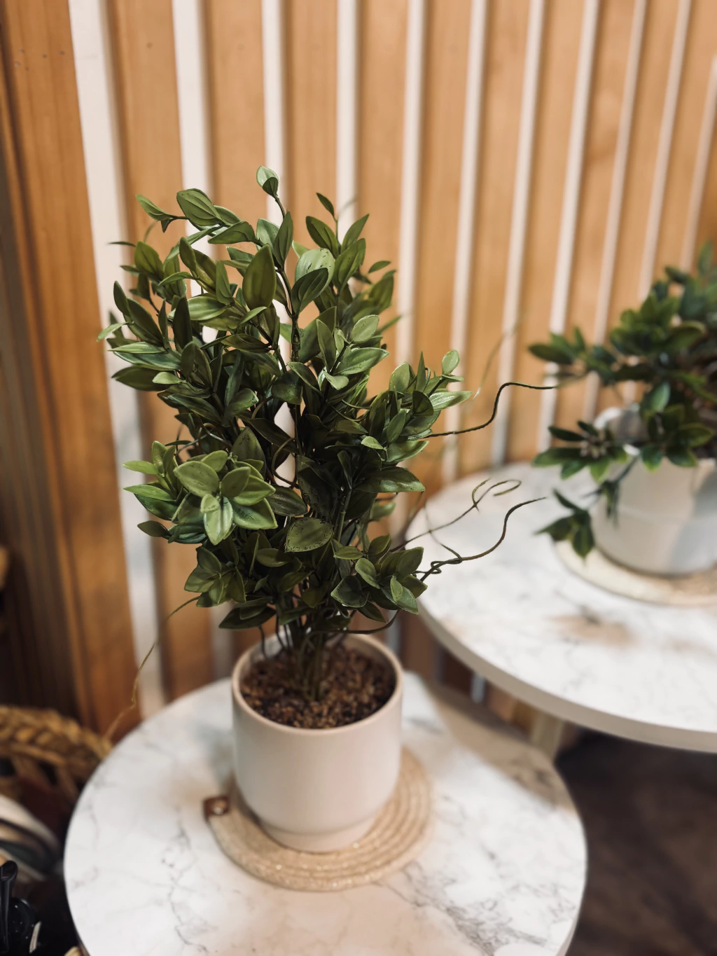 Planta artificial maceta cerámica blanca