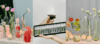 Banner Felizza Anunciatta