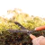 TESOURA PARA CERCA-VIVA/GRAMA TRAMONTINA COM LÂMINA METÁLICA E CABO DE MADEIRA - 78330/125 - loja online
