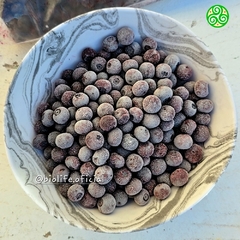 Arandanos Congelados 1 kilo