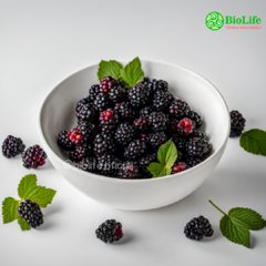 Moras Congeladas 1 kilo