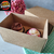 10 Caixas com berço para 2 brigadeiros - Kraft - Tampa de papel - altura 5,5cm - comprar online