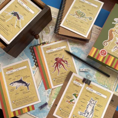 Dame una pista - comprar online