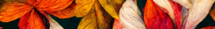 Banner da categoria ༄ COLEÇÃO INVERNIA ༄