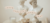 Banner rotativo 7