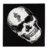 Shake Junt Boo Skull Bandana Blk