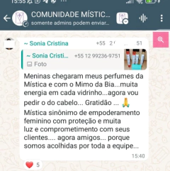 Perfume de Bolsa - 10ml (1 unidade) - comprar online