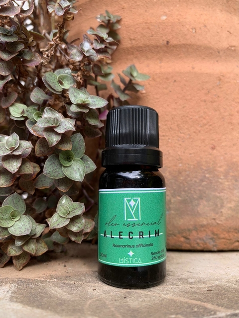 Alecrim 10ml – Foco, Vitalidade e Proteção Energética (Óleo essencial 100% puro)
