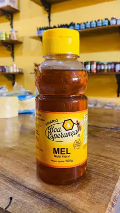 Mel Puro 500ml - comprar online