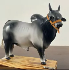 Boi Corote tonel/barril de cachaça N-14