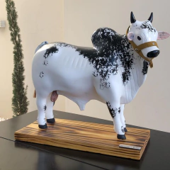 Boi Corote tonel/barril de cachaça N-07