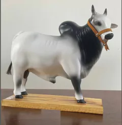 Boi Corote tonel/barril de cachaça N-01