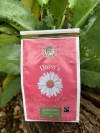Café Artesanal Feminino Daisy's - comprar online
