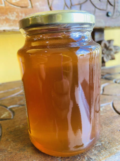 Mel Puro 700g (vidro) na internet