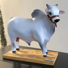 Boi Corote tonel/barril de cachaça N-11