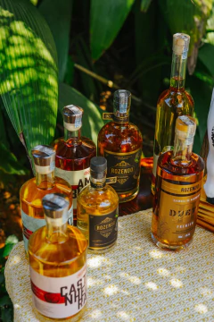 Cachaça Cerâmica ROZENDO 700ml na internet