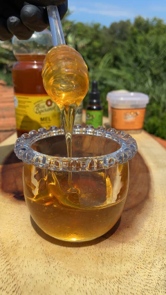 Propolis de Mel Puro - Verde 20 ml na internet