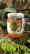 Geleia de Mexerica - 300g - comprar online