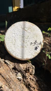 Queijo Minas Artesanal