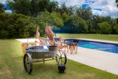 Jaula / Pérgola en internet