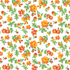 Viés Tijuca Fino Floral Laranja (24mm) - comprar online