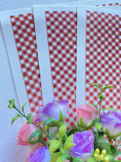 Eva estampado Xadrez Light Vermelho com branco